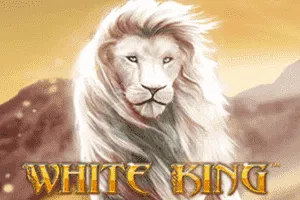 Playtech : White King - BEERSLOT365